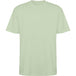 Mist Green