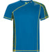 Royal Blue Run Print